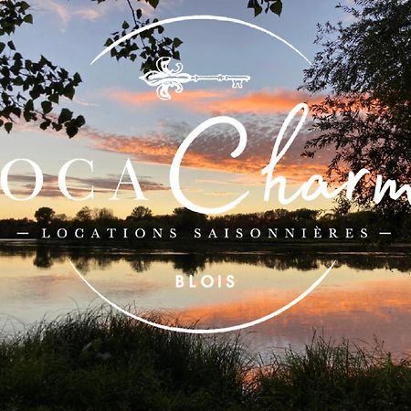 "Gite Le Relais Viennois" Vue Sur Loire & Linge Inclus 布鲁瓦 外观 照片